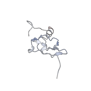 6483_3jbu_S_v1-4
Mechanisms of Ribosome Stalling by SecM at Multiple Elongation Steps
