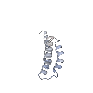 6483_3jbu_T_v1-4
Mechanisms of Ribosome Stalling by SecM at Multiple Elongation Steps