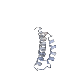 6483_3jbu_T_v1-5
Mechanisms of Ribosome Stalling by SecM at Multiple Elongation Steps