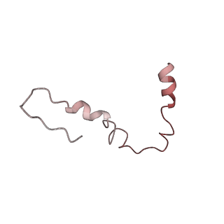 6483_3jbu_U_v1-4
Mechanisms of Ribosome Stalling by SecM at Multiple Elongation Steps