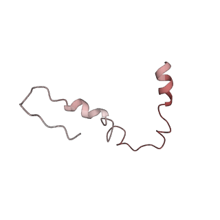 6483_3jbu_U_v1-5
Mechanisms of Ribosome Stalling by SecM at Multiple Elongation Steps