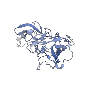 6483_3jbu_c_v1-4
Mechanisms of Ribosome Stalling by SecM at Multiple Elongation Steps