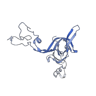 6483_3jbu_d_v1-4
Mechanisms of Ribosome Stalling by SecM at Multiple Elongation Steps