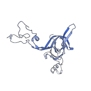 6483_3jbu_d_v1-5
Mechanisms of Ribosome Stalling by SecM at Multiple Elongation Steps