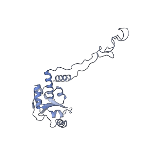 6483_3jbu_e_v1-4
Mechanisms of Ribosome Stalling by SecM at Multiple Elongation Steps