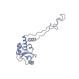 6483_3jbu_e_v1-5
Mechanisms of Ribosome Stalling by SecM at Multiple Elongation Steps