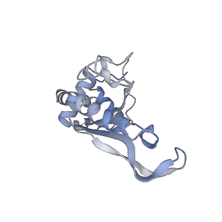 6483_3jbu_f_v1-4
Mechanisms of Ribosome Stalling by SecM at Multiple Elongation Steps