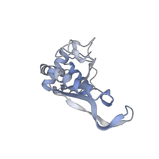 6483_3jbu_f_v1-5
Mechanisms of Ribosome Stalling by SecM at Multiple Elongation Steps