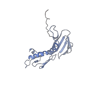 6483_3jbu_g_v1-4
Mechanisms of Ribosome Stalling by SecM at Multiple Elongation Steps