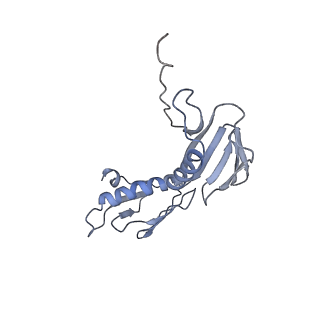 6483_3jbu_g_v1-5
Mechanisms of Ribosome Stalling by SecM at Multiple Elongation Steps