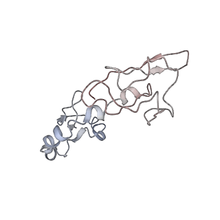 6483_3jbu_h_v1-4
Mechanisms of Ribosome Stalling by SecM at Multiple Elongation Steps