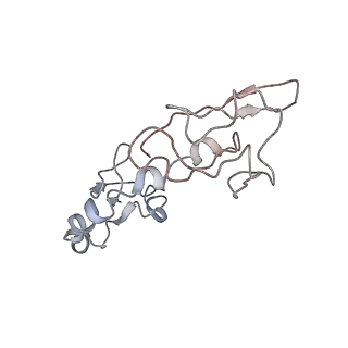 6483_3jbu_h_v1-5
Mechanisms of Ribosome Stalling by SecM at Multiple Elongation Steps