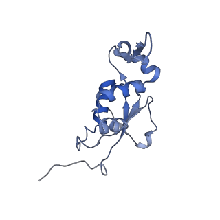 6483_3jbu_j_v1-4
Mechanisms of Ribosome Stalling by SecM at Multiple Elongation Steps