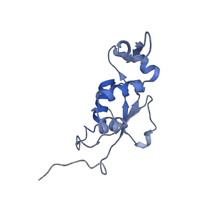 6483_3jbu_j_v1-5
Mechanisms of Ribosome Stalling by SecM at Multiple Elongation Steps