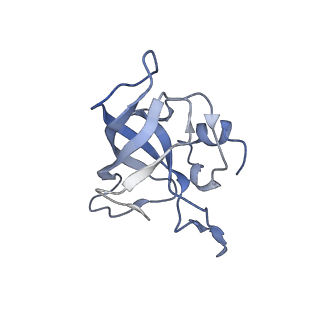 6483_3jbu_k_v1-4
Mechanisms of Ribosome Stalling by SecM at Multiple Elongation Steps