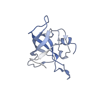 6483_3jbu_k_v1-5
Mechanisms of Ribosome Stalling by SecM at Multiple Elongation Steps