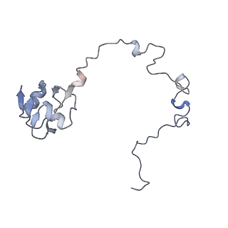 6483_3jbu_l_v1-4
Mechanisms of Ribosome Stalling by SecM at Multiple Elongation Steps