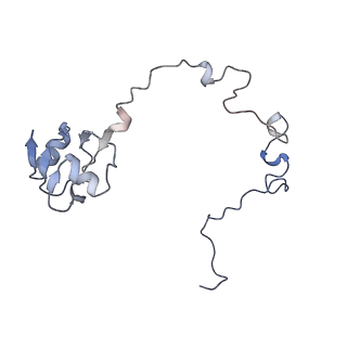 6483_3jbu_l_v1-5
Mechanisms of Ribosome Stalling by SecM at Multiple Elongation Steps