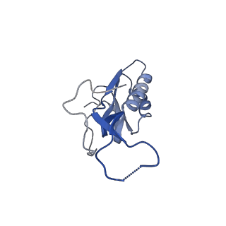 6483_3jbu_m_v1-4
Mechanisms of Ribosome Stalling by SecM at Multiple Elongation Steps