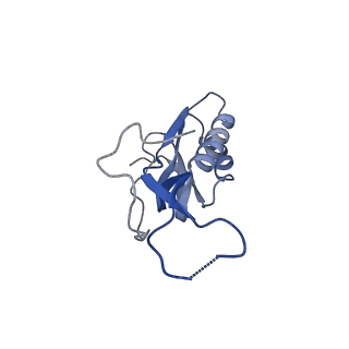 6483_3jbu_m_v1-5
Mechanisms of Ribosome Stalling by SecM at Multiple Elongation Steps