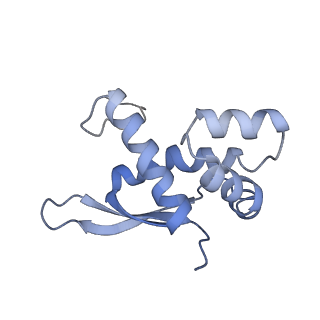 6483_3jbu_n_v1-4
Mechanisms of Ribosome Stalling by SecM at Multiple Elongation Steps
