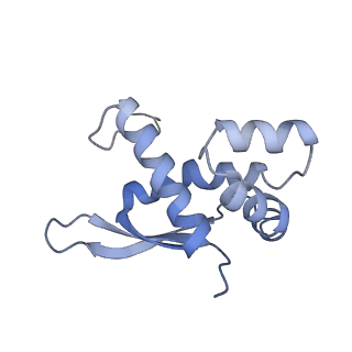 6483_3jbu_n_v1-5
Mechanisms of Ribosome Stalling by SecM at Multiple Elongation Steps