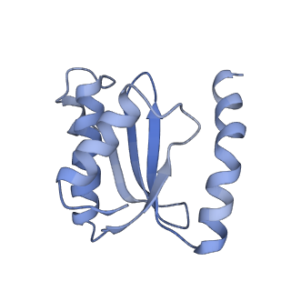 6483_3jbu_o_v1-4
Mechanisms of Ribosome Stalling by SecM at Multiple Elongation Steps