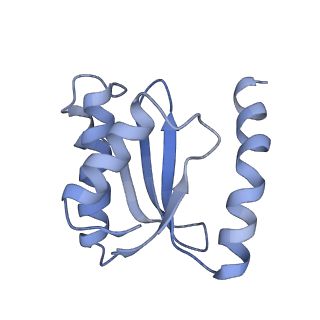 6483_3jbu_o_v1-5
Mechanisms of Ribosome Stalling by SecM at Multiple Elongation Steps