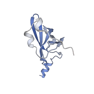 6483_3jbu_p_v1-4
Mechanisms of Ribosome Stalling by SecM at Multiple Elongation Steps