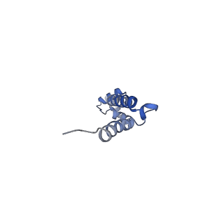 6483_3jbu_q_v1-4
Mechanisms of Ribosome Stalling by SecM at Multiple Elongation Steps