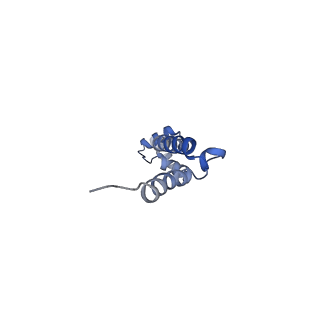 6483_3jbu_q_v1-5
Mechanisms of Ribosome Stalling by SecM at Multiple Elongation Steps