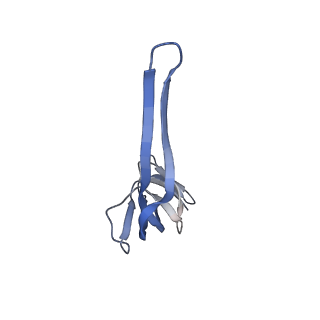 6483_3jbu_r_v1-4
Mechanisms of Ribosome Stalling by SecM at Multiple Elongation Steps