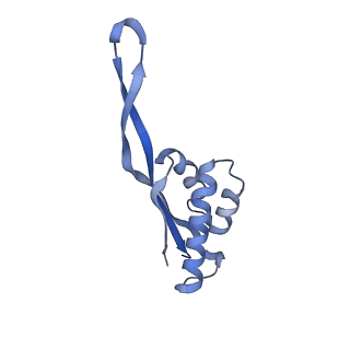 6483_3jbu_s_v1-4
Mechanisms of Ribosome Stalling by SecM at Multiple Elongation Steps