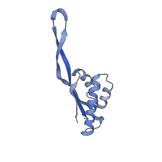 6483_3jbu_s_v1-5
Mechanisms of Ribosome Stalling by SecM at Multiple Elongation Steps