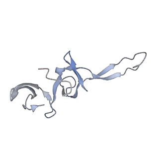 6483_3jbu_u_v1-4
Mechanisms of Ribosome Stalling by SecM at Multiple Elongation Steps