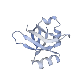 6483_3jbu_w_v1-4
Mechanisms of Ribosome Stalling by SecM at Multiple Elongation Steps