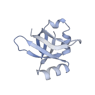 6483_3jbu_w_v1-5
Mechanisms of Ribosome Stalling by SecM at Multiple Elongation Steps