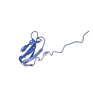 6483_3jbu_y_v1-5
Mechanisms of Ribosome Stalling by SecM at Multiple Elongation Steps