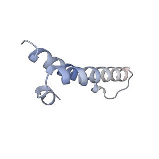 6486_3jbv_1_v1-5
Mechanisms of Ribosome Stalling by SecM at Multiple Elongation Steps