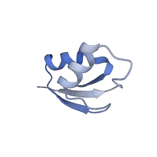 6486_3jbv_2_v1-5
Mechanisms of Ribosome Stalling by SecM at Multiple Elongation Steps
