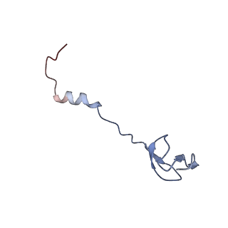 6486_3jbv_3_v1-5
Mechanisms of Ribosome Stalling by SecM at Multiple Elongation Steps