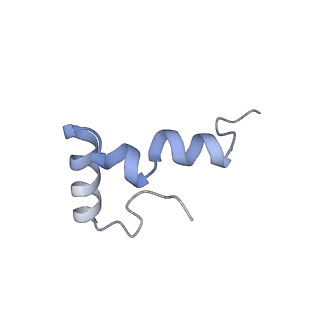 6486_3jbv_6_v1-5
Mechanisms of Ribosome Stalling by SecM at Multiple Elongation Steps