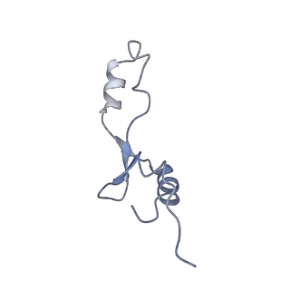 6486_3jbv_7_v1-5
Mechanisms of Ribosome Stalling by SecM at Multiple Elongation Steps