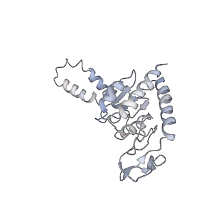 6486_3jbv_B_v1-5
Mechanisms of Ribosome Stalling by SecM at Multiple Elongation Steps