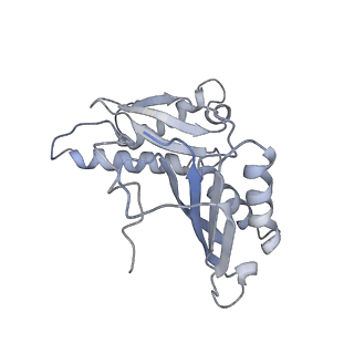 6486_3jbv_C_v1-5
Mechanisms of Ribosome Stalling by SecM at Multiple Elongation Steps