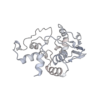 6486_3jbv_D_v1-5
Mechanisms of Ribosome Stalling by SecM at Multiple Elongation Steps