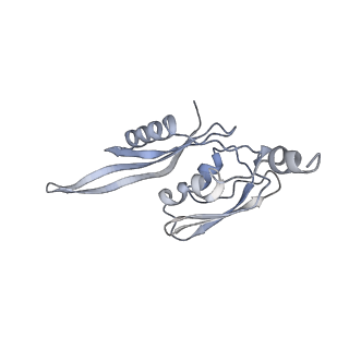 6486_3jbv_E_v1-5
Mechanisms of Ribosome Stalling by SecM at Multiple Elongation Steps