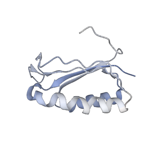 6486_3jbv_F_v1-5
Mechanisms of Ribosome Stalling by SecM at Multiple Elongation Steps