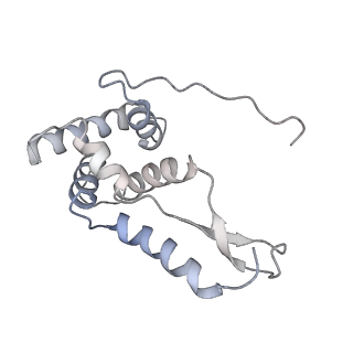 6486_3jbv_G_v1-5
Mechanisms of Ribosome Stalling by SecM at Multiple Elongation Steps