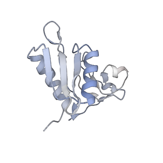 6486_3jbv_H_v1-5
Mechanisms of Ribosome Stalling by SecM at Multiple Elongation Steps